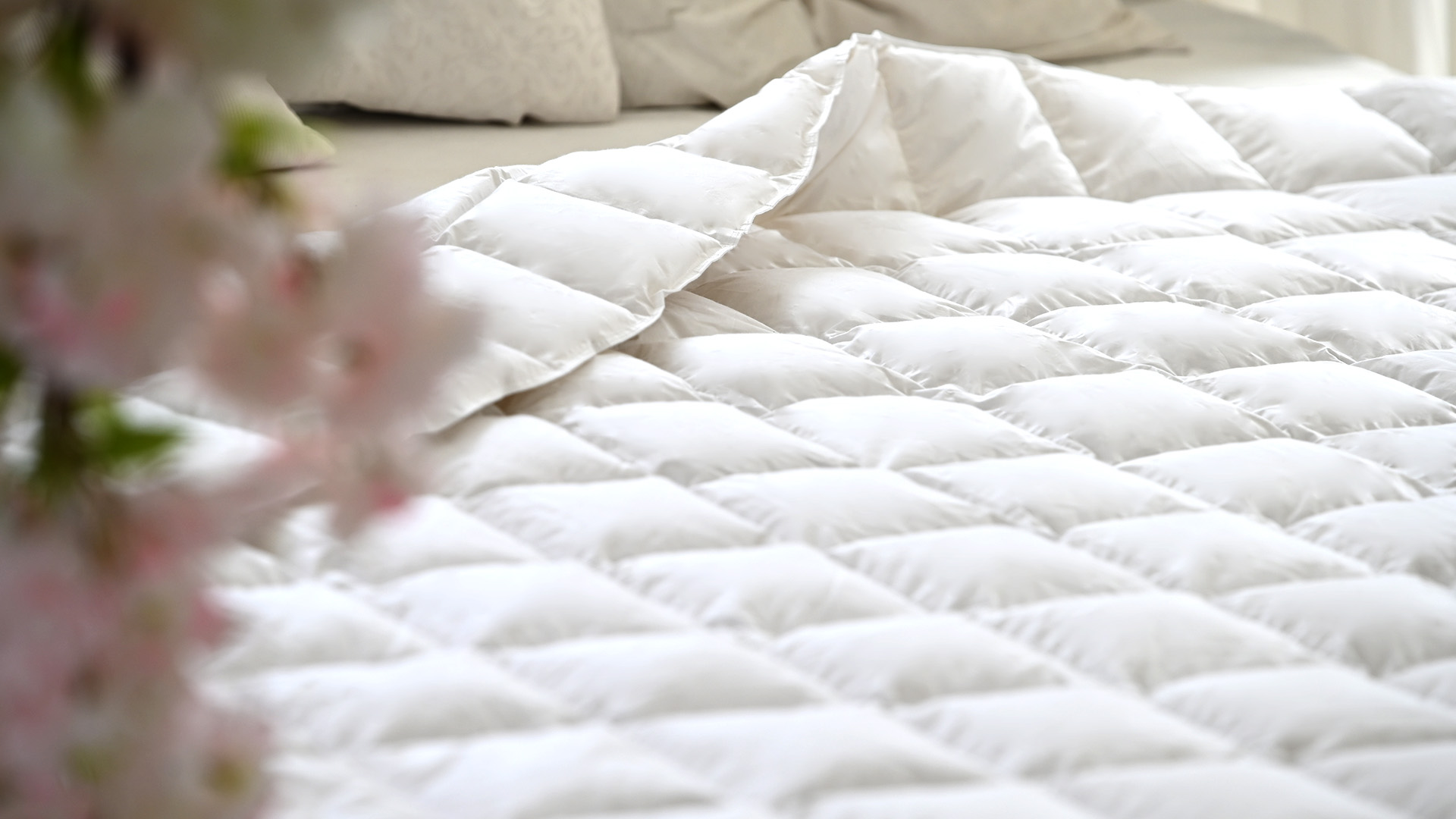 羽绒被系列 — Aura Down Bedding